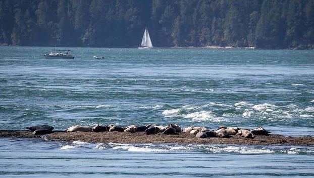 Paisagens em Vancouver