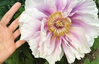 La casa di Zoe-ARTANDTRAVEL - Foto 65