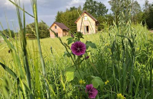 Odpocznij u Ani - Foto 1