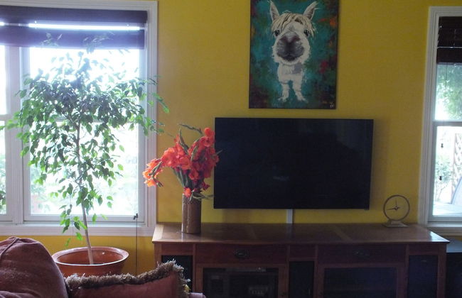 Montrose Farms Alpaca Ranch - Foto 16