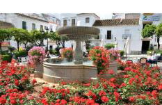 EsteponaCies - Photo 48