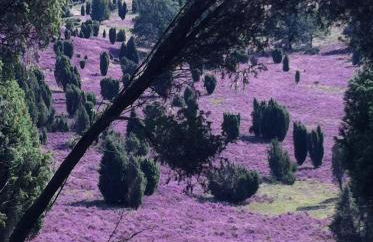 Garbers-Hof - Foto 61