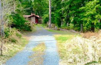 Cedar at Rainier Lodge (0.4 m from Mt.Rainier) - Photo 8