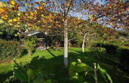 LaGo Village House - Foto 4