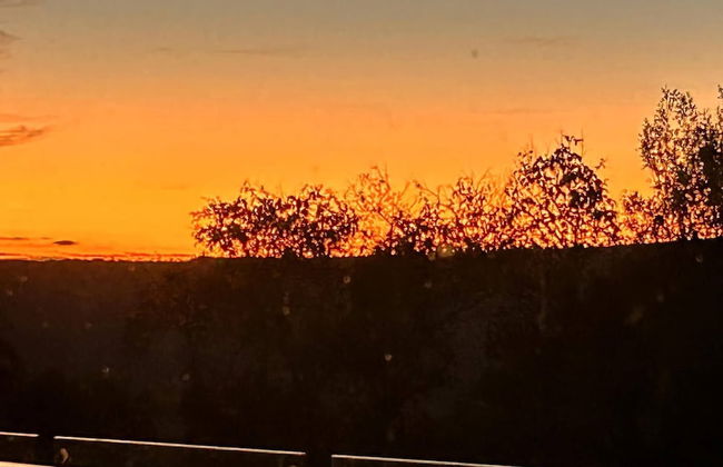 Belvedere Summer House - Foto 41