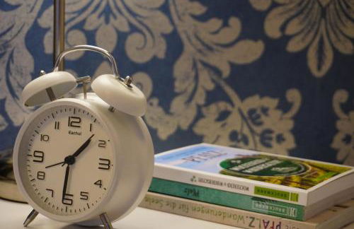 Ferienwohnung Tabakbauer - Auszeit in der Pfalz - Foto 17