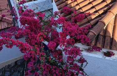 Spitaki - Foto 23
