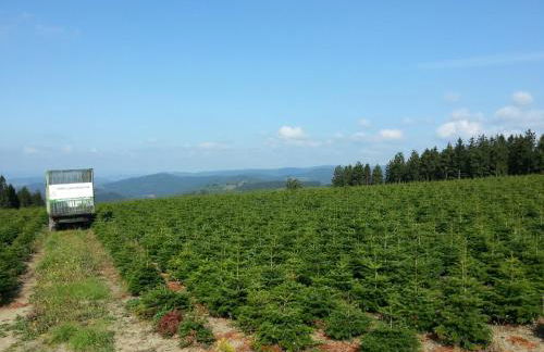 Ferienwohnungen Luge - Winterberg - Foto 66