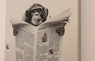 La terrasse abritée et son spa - Photo 19