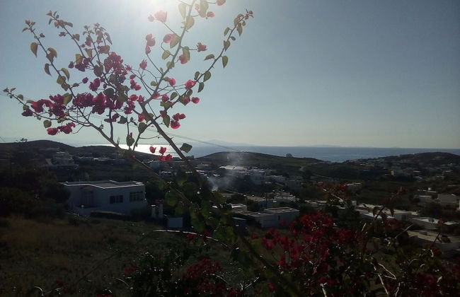 Kykladitiko Spiti - Foto 60