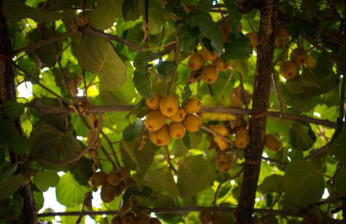 Agriturismo Mare e Monti - Foto 144