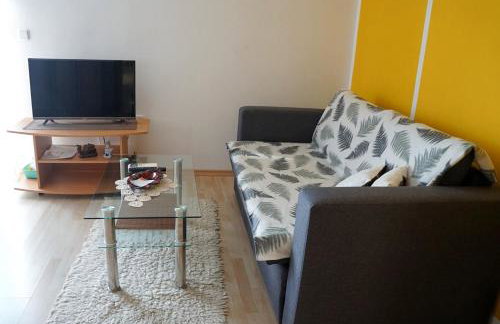 Apartmani Vesna - Foto 41