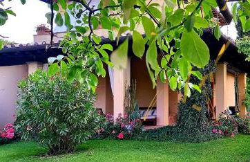 AGRIFOGLIO - Photo 33