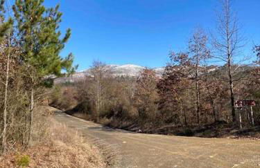 Livin on the Edge Cabin in Albert Pike, Beautiful! - Foto 79