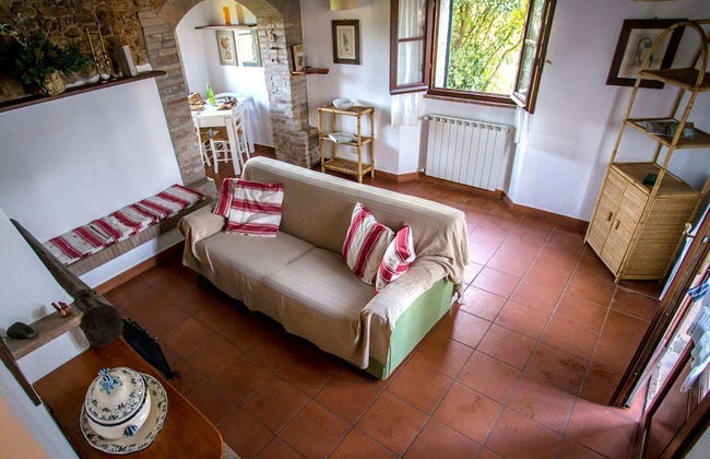 Bio Tenuta di Paganico - I Roggeti - Foto 52