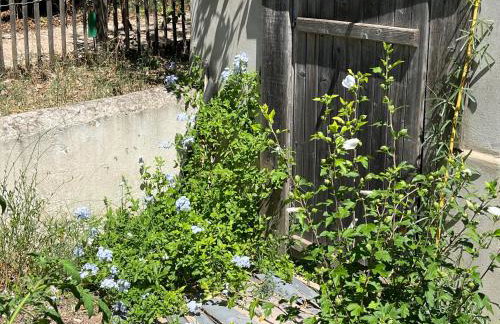 Cabane de la leque - Foto 48