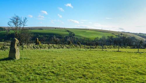 3 Bed in Llanllwni 91447 - Foto 3, Other