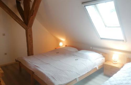 Boddenhus auf Rügen - Ferienwohnungen und Pension - Foto 54