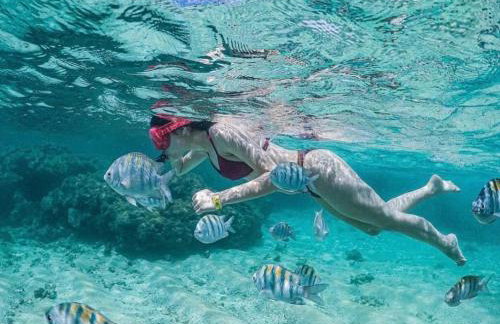 Mani Japaratinga - Foto 30