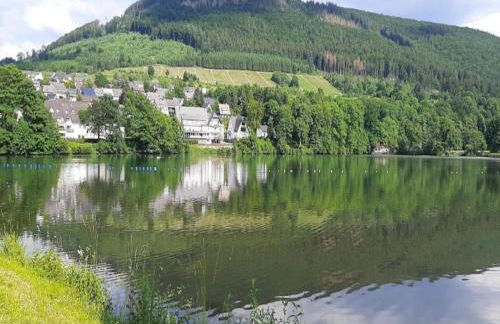 Geraumige Ferienwohnung im Sauerland - Foto 57