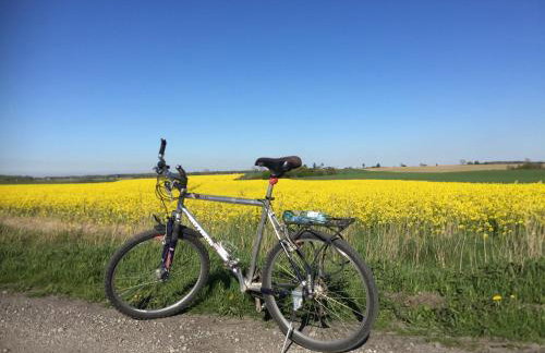 La Petite France - Foto 47