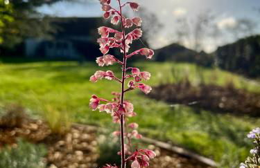 GSand Le Clos du May - Foto 34