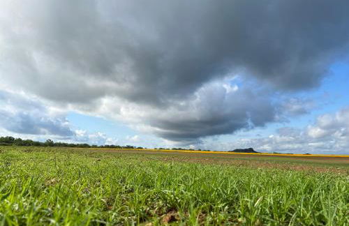Hickory Ridge Hideaway Cabin - Romantic, Peaceful - Photo 6