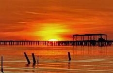 La Llar de Laura - Foto 58