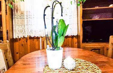 Apartmani Ankica - Foto 42