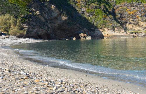 House in Εndless green - Arethousa, Ikaria - Photo 37