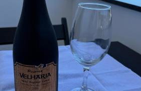 Vizion Mar Vidigal - Foto 4