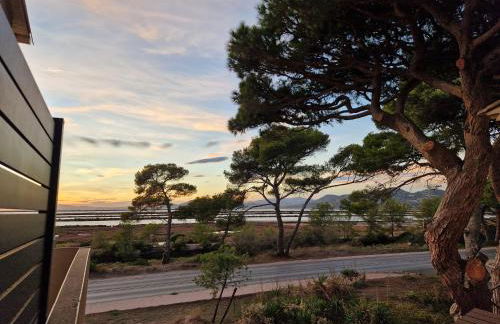 Les flamants roses de la Capte T2 - Foto 20