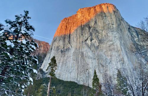 Romantic Forest Lovers Nest by Casa Oso - Foto 48