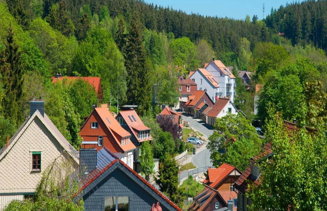 Ferienhaus in Schierke mit Garten - Foto 23