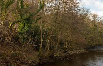 Esk View Cottage - Foto 17