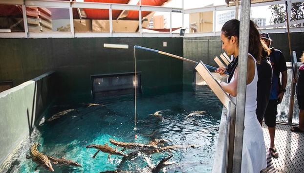 Entradas de admisión general a Crocosaurus Cove - Foto 4