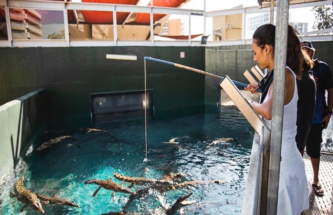 Crocosaurus Cove General Admission Tickets - Photo 4