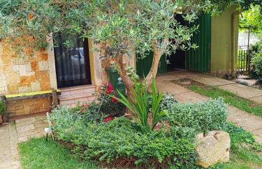 Casetta Olivetta - Foto 31