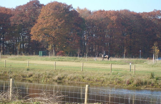 Quiet Glade Stay With Kid - Foto 23