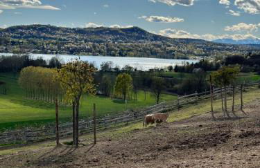 Cascina Coste - Foto 30