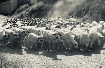 La Casa del Campillo - Foto 48