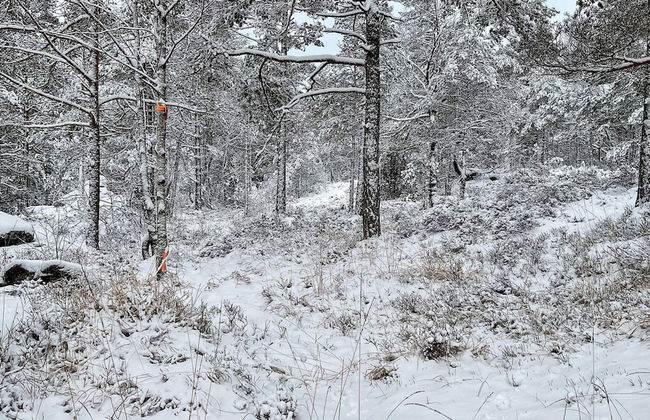 10 Person Holiday Home in Halden-by Traum - Foto 20