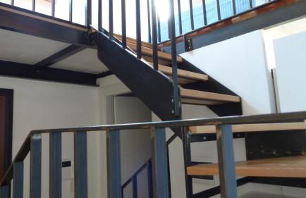 I Pesci nel golfo di Baratti - Foto 11