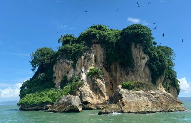 Los Haitises National Park Full Day Tour - Foto 4