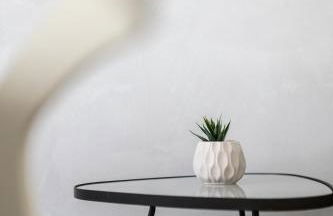 Step to the Vatican - Foto 24