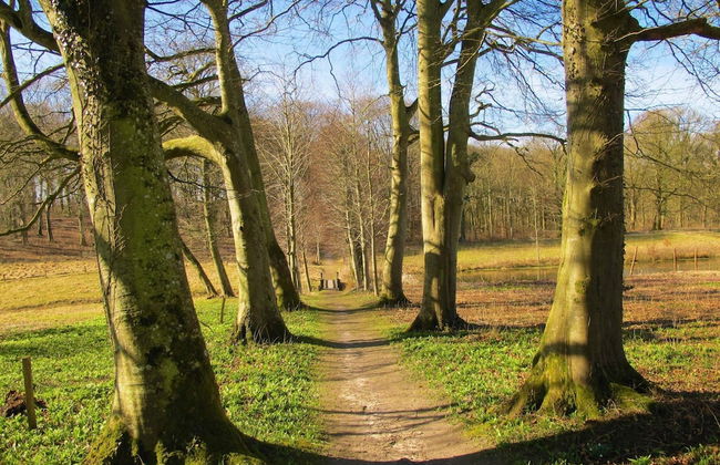 6 Person Holiday Home in Hojslev-by Traum - Foto 3