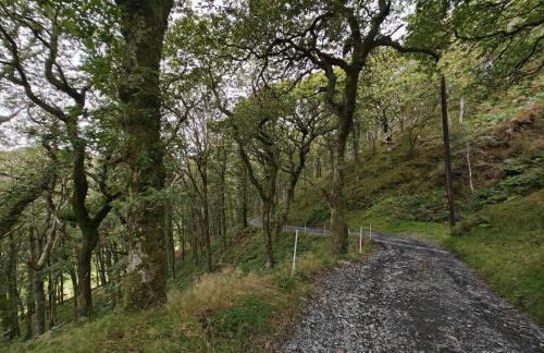 Y Cwtch - Panoramic mountain views within Snowdonia's National Park - 4x4 only - Foto 32