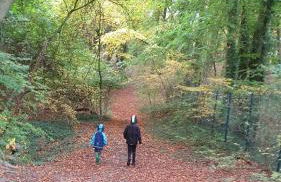Ferienwohnung zum Wohlfühlen - Foto 34