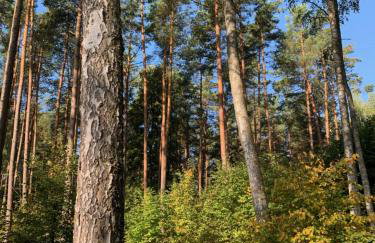 Ublik Stacja - Foto 57