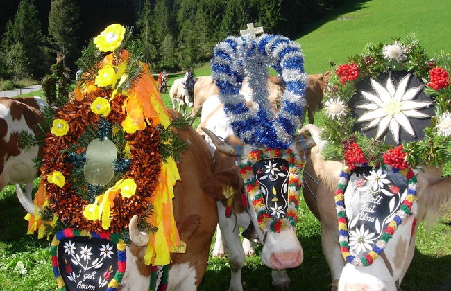 Bergjuwel - Photo 48